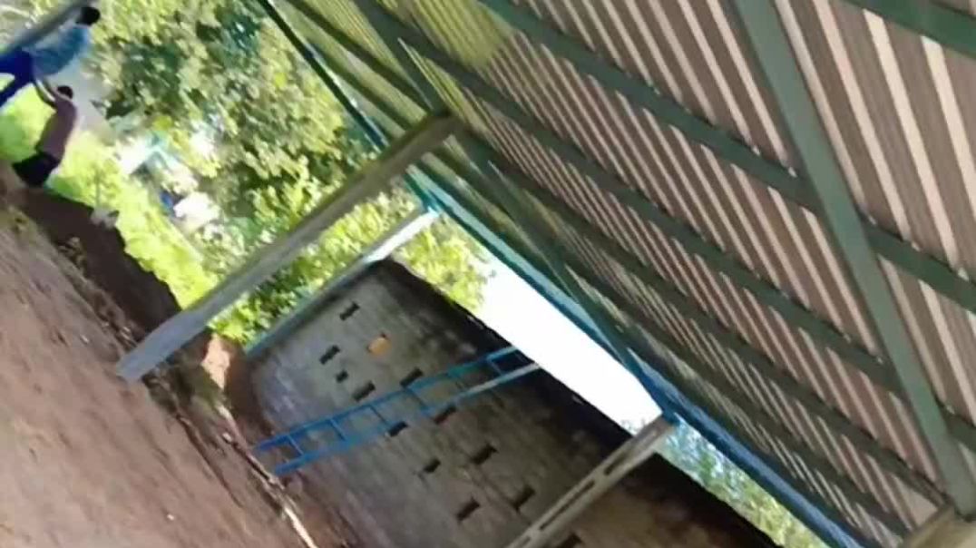 ⁣Gujarati log video