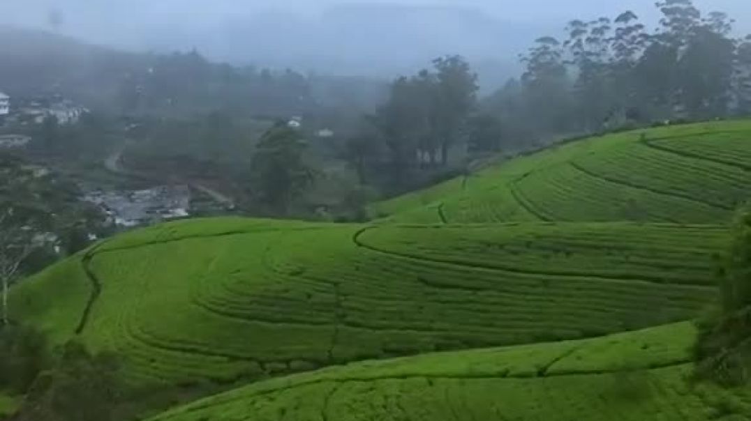 ⁣goodmorning 20251229