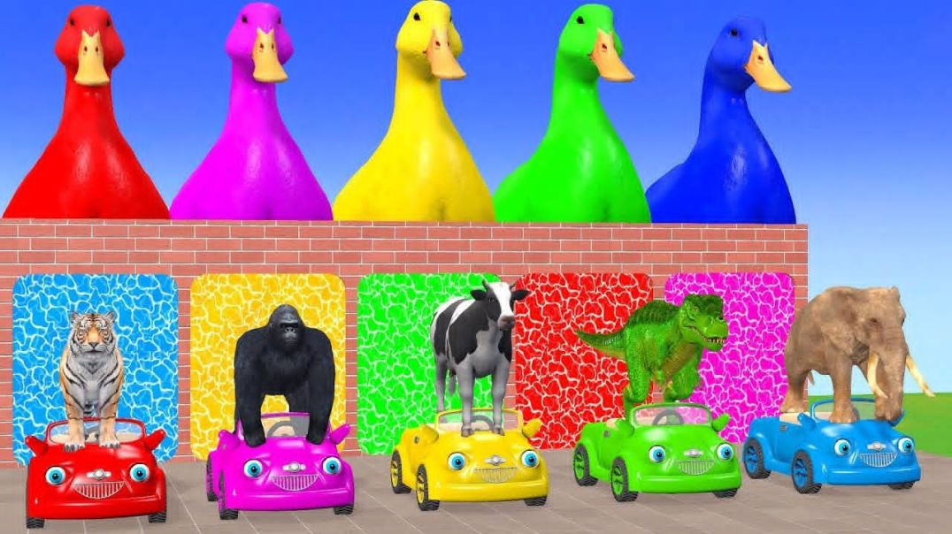 ⁣Long Slide animal challenge cag game