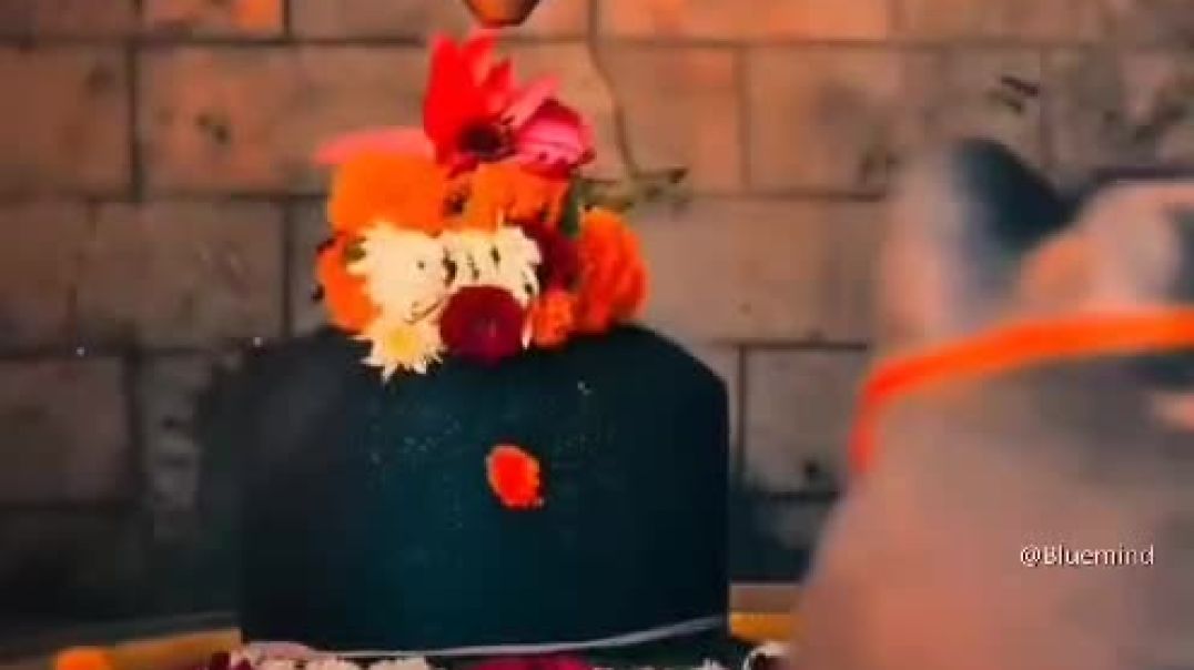 ⁣Sal ka akhri savan #video