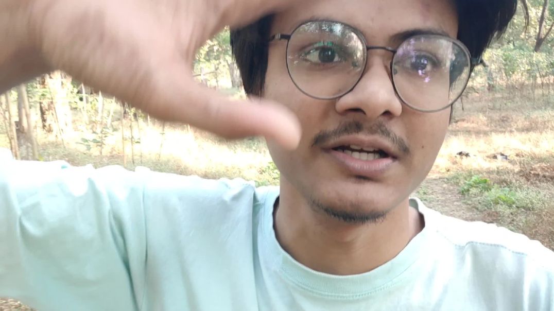 come back again in forest