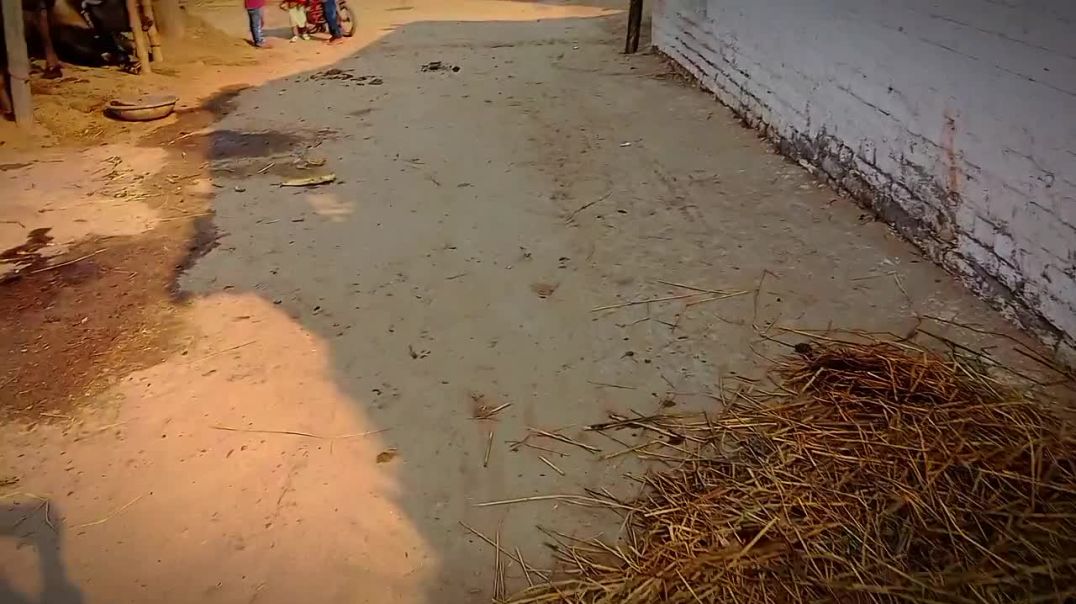 ⁣🗯️ गांव का छोटा सा office 😂 Mini Vlog 🤵