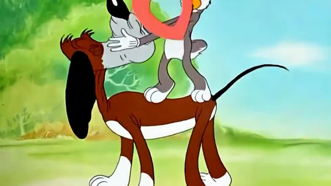 ⁣बेवकूफ_कुत्ता_और_चालाक_खरगोश_पार्ट_2_#shortvideo_#trending_#funnyvideo(1080p)