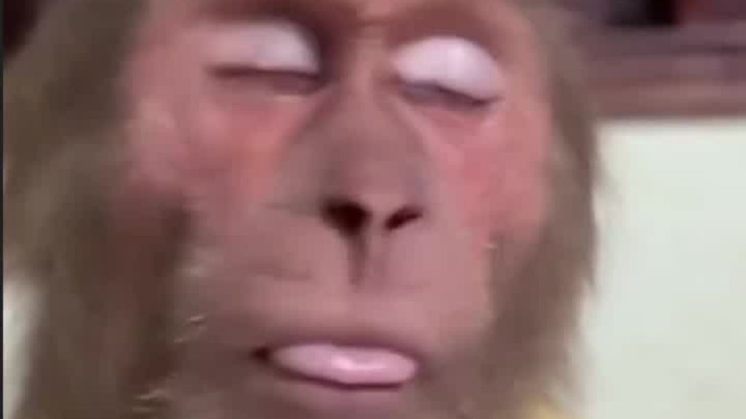 VID_20251205_222810_316