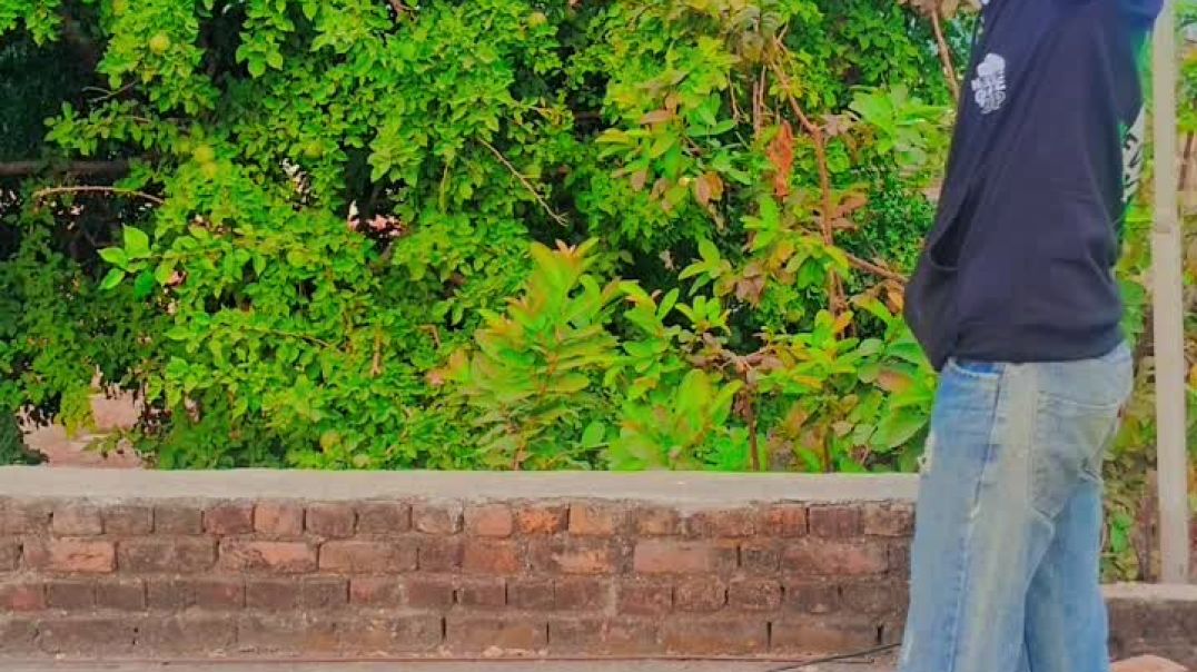 VID_20251212_193242_085