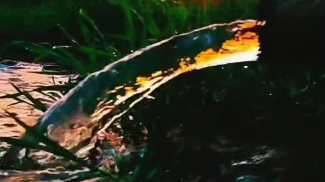 VID_20251214_074344_135