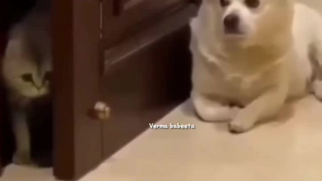 AQM3G5fI1eeH-7rG1HvFuZEK6EYotie3IDMqQhmVDVZbVFKJTZ2uQK8IVe6hiQ-l2L1YPttAX71PoWAvE2gBWNPHRrZdjjIC-HVi