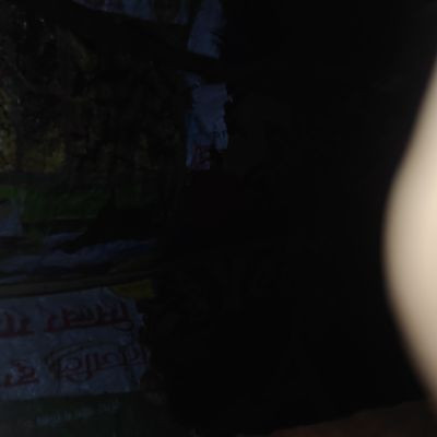 BioBeastX° BioBeastX°