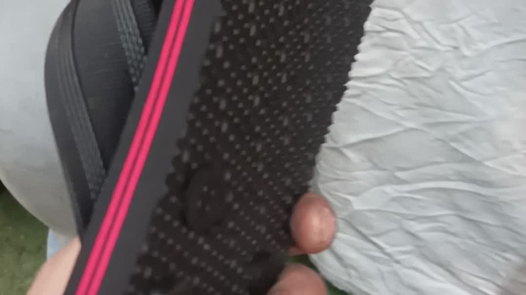 ⁣V shep #tucson #short #viralpost