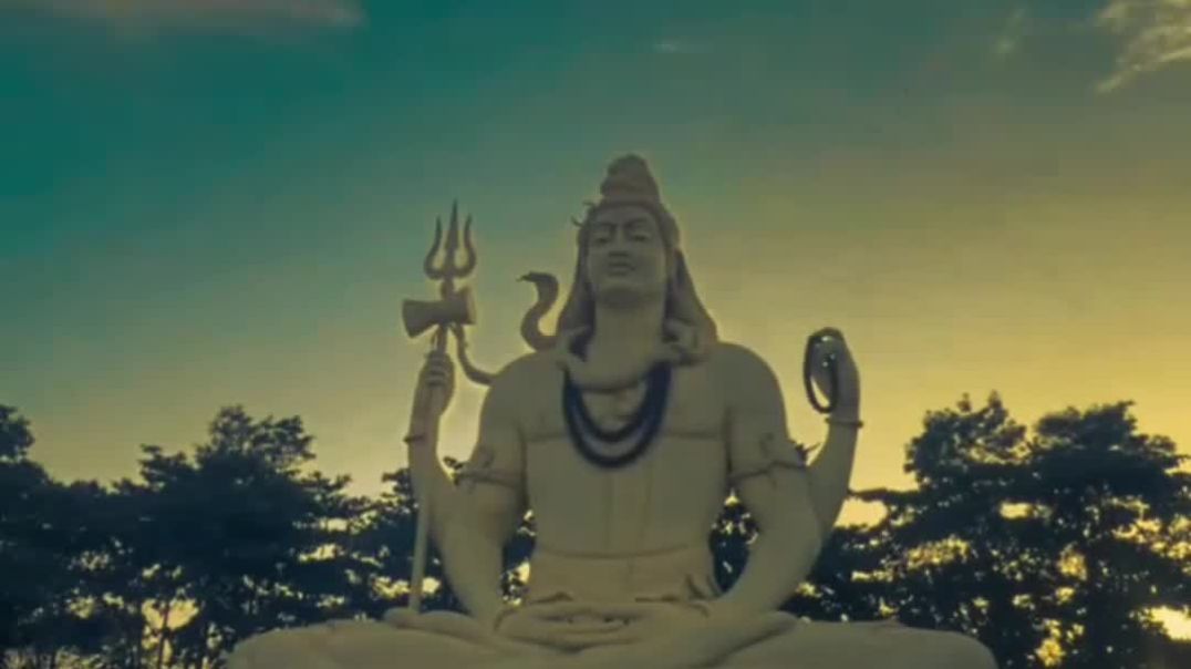 VID_20251228_030459_313