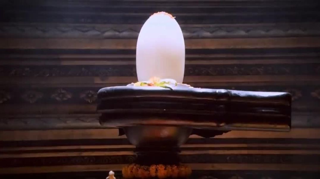 ⁣Vrusshabha (2025) 54438