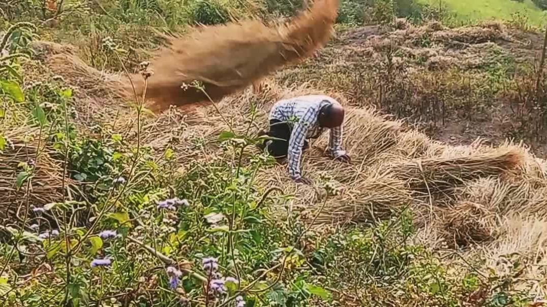 ⁣Hamara ghar ka kam