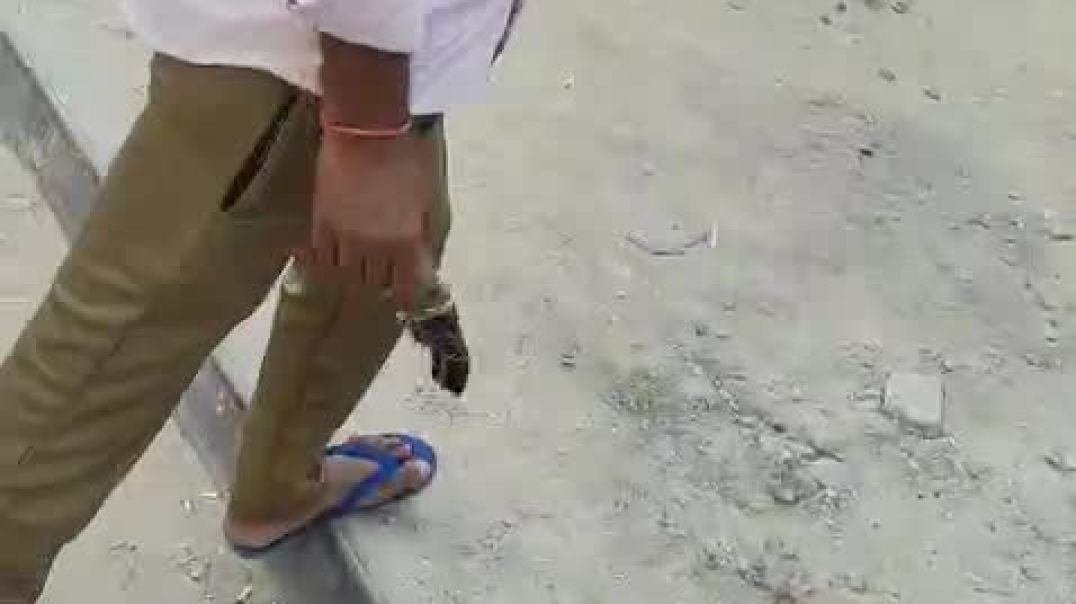 ⁣dubai sunday injoy