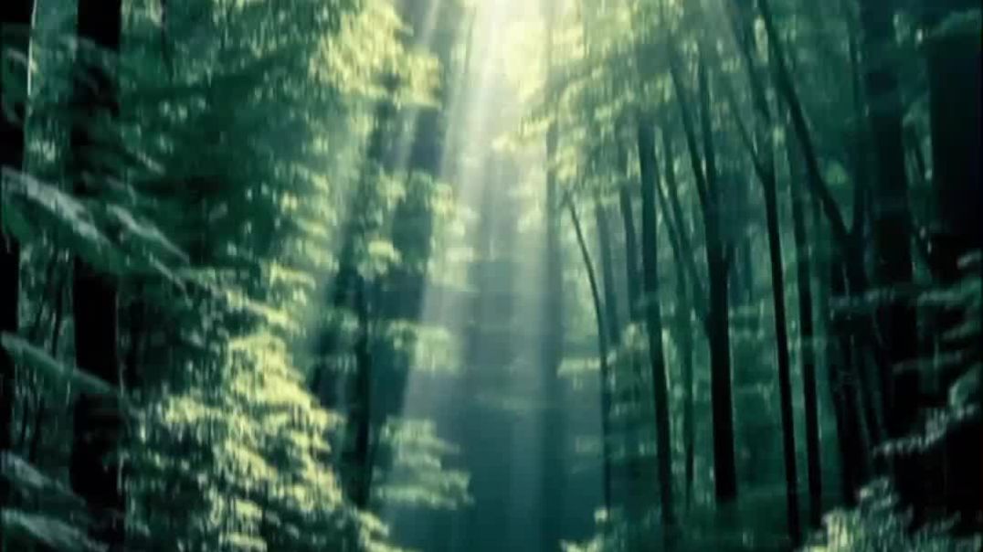 lv_7553904227572026685_20251217090849