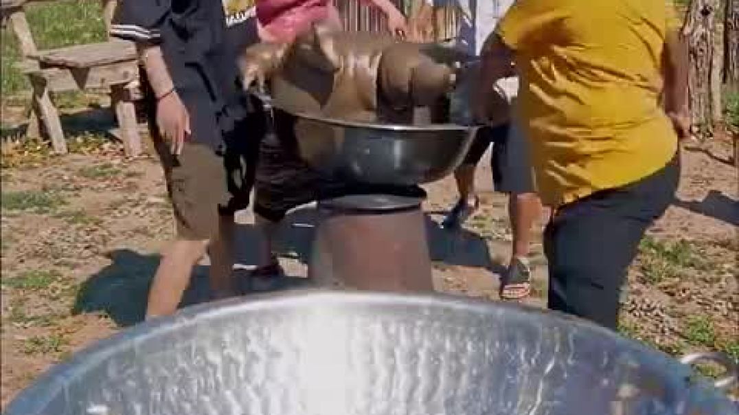 ⁣Who_wanna_kebab_____#ai#facelessyoutubechannelideas_#alartcommunity_#aiart_#ytshorts(480p)