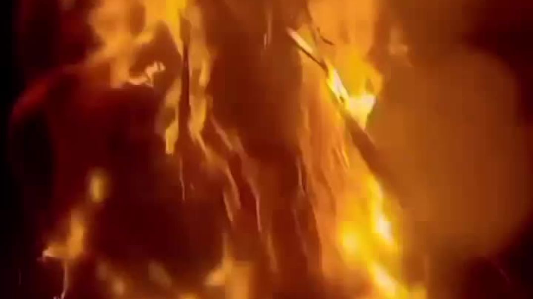 VID_20251208_053436_101