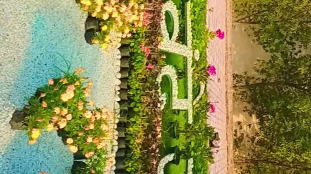 VID_247600919_172115_935