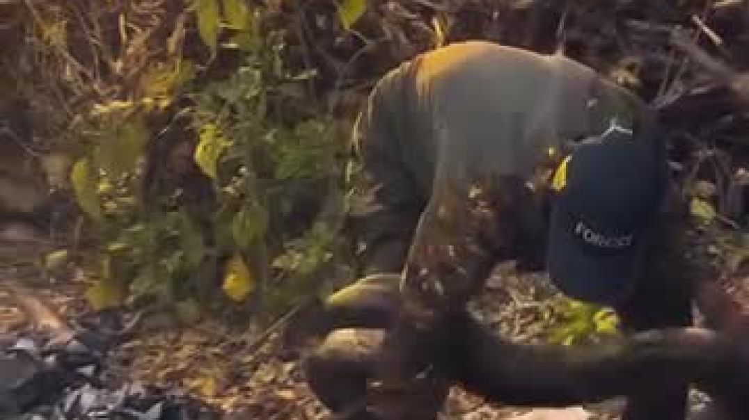 जुनून_ए_इश्क_-वर्दी_💫💯♥️_•_•_•_•_•_•_•_#run_#runnershing_#me_#fitcruntoinspire_#munhermasterstronger