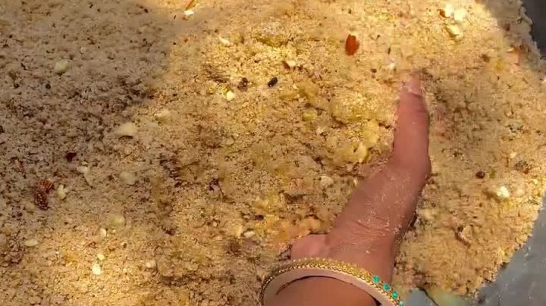 ⁣DESI KHANA 🙋🏻🩵