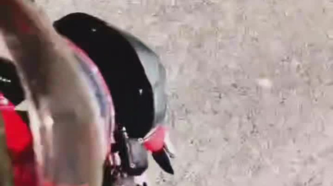 VID_20251201_185615_447