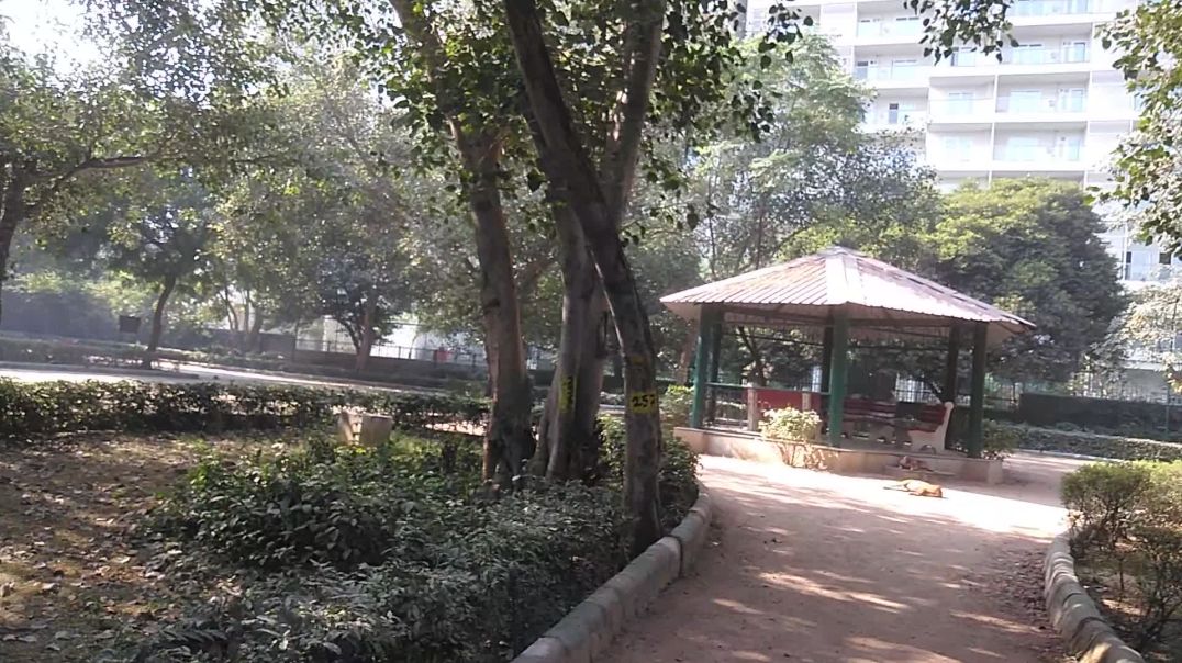 ⁣Mzaa aa gyaa park♥️👌🌴Mzaa aa gyaa park♥️👌🌴🍁💐😍😍