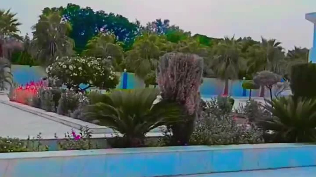 ⁣khitora #bollywood #bollywoodsongs (1)