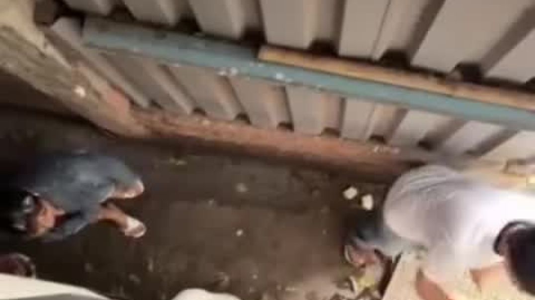 ⁣snapsave-app_3689821506429128474