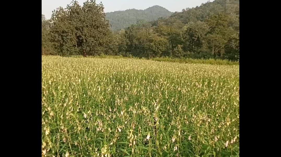 km_20251216_1080p_30f_20251216_075427