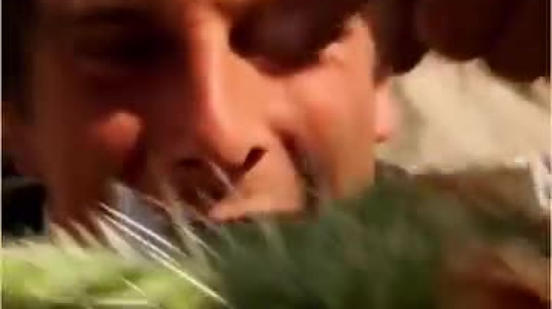 AQOaYctdb_QlE_42Tktz3jC5yWau4WbBWGNk3MndZwPxkYs7SfzmgUFK0oclEwTVFIG68cQBgMcoHZ86hDRFgbT8nFoUUTBDj9Ax