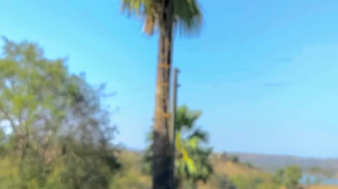 VID_20251202_073413_862