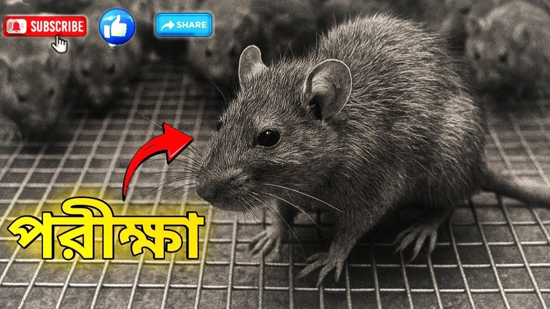 ⁣কিভাবে শেষ হবে মানুষের অস্তিত্ব