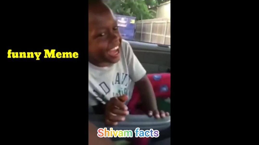 InShot_20251227_131546443