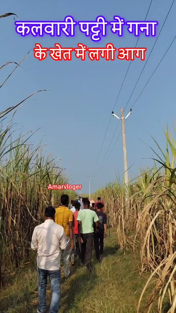 आग लगी है #viedo #viral #trending