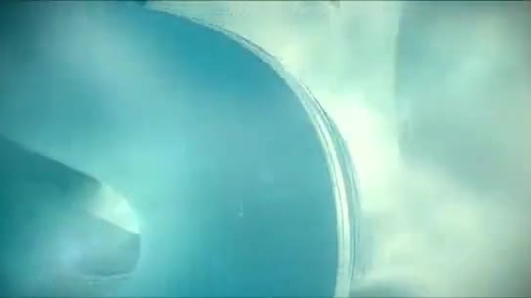 The_Hitmans_Wifes_Bodyguard_2021_Full_Movie