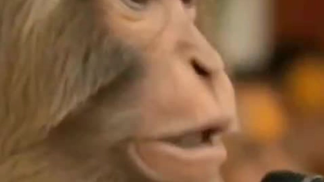 ⁣हार मत मानो—अंधेरा तुम्हें रोक नहीं सकता।”