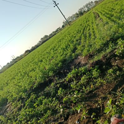 101519099500781417143 