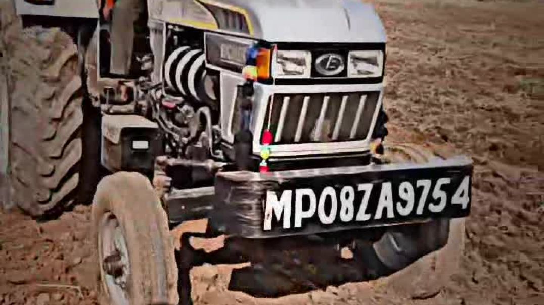 VID_20251115_011822_419