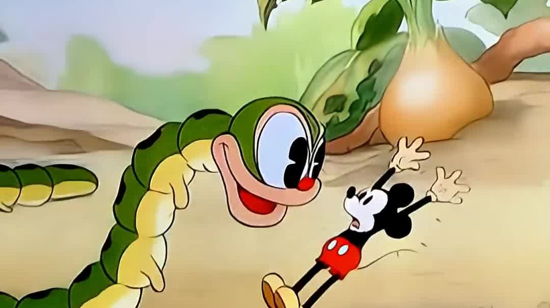 ⁣चूहा_हुआ_बहुत_छोटा_पार्ट_2_#shortvideo_#funnyvideo_#trending(1080p)