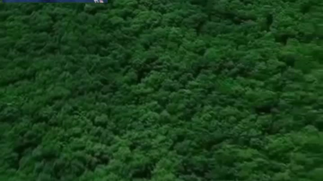 ⁣राष्ट्र हित