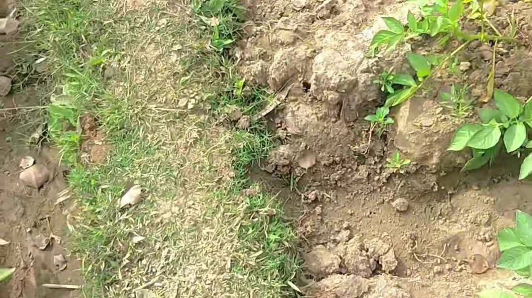 ⁣Soil eat very tasty 👇👇🔚🆔🙏❤️❤️