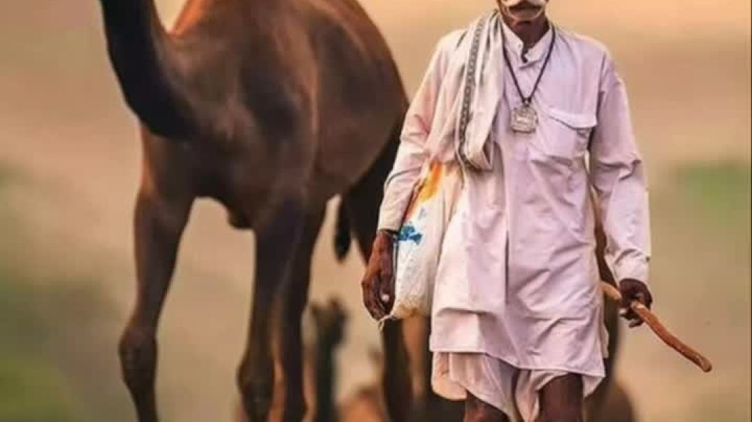 VID_20251005_064258_654