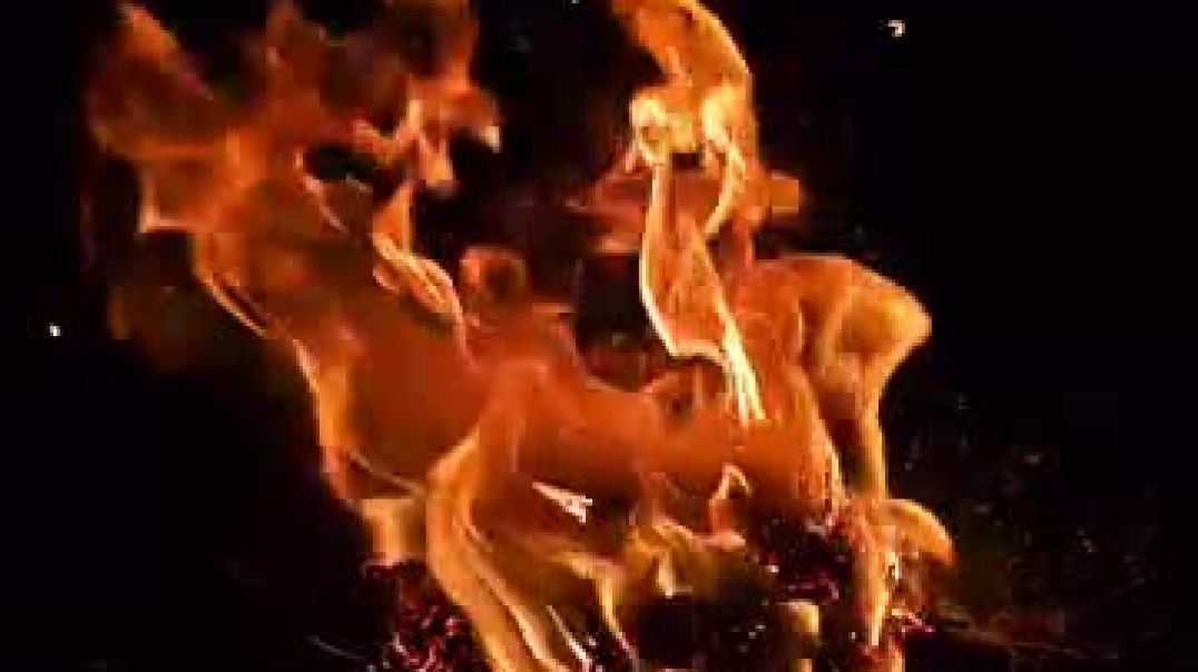 instagram_1765068069459(360p)