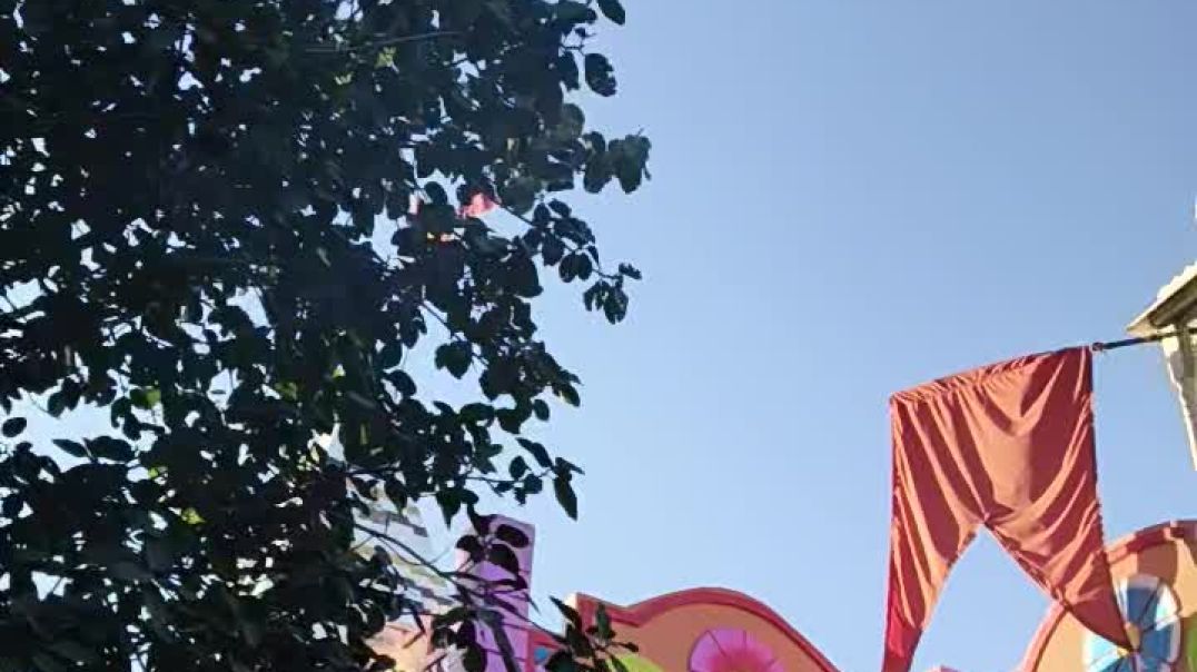 video_20251210_162430