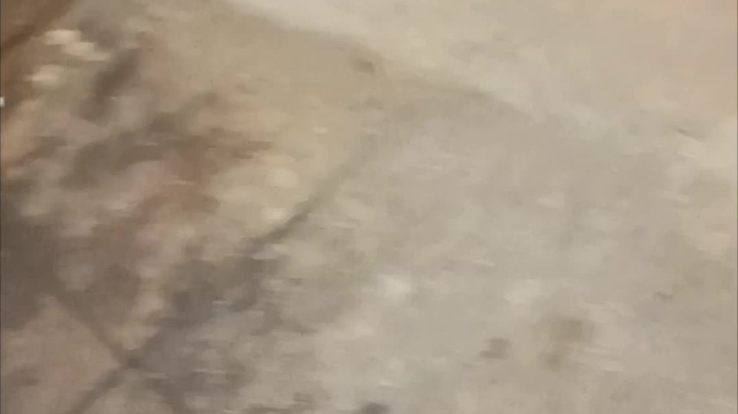 ⁣Mera dogi night video short #blog viralpost #shorttube