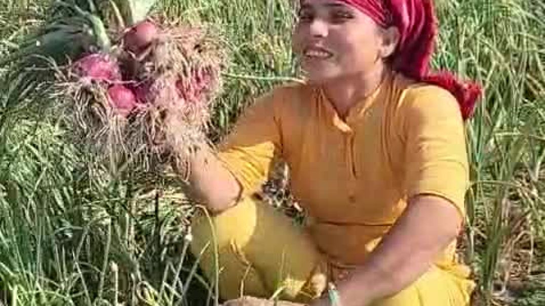 प्याज 🧅 का फायदा