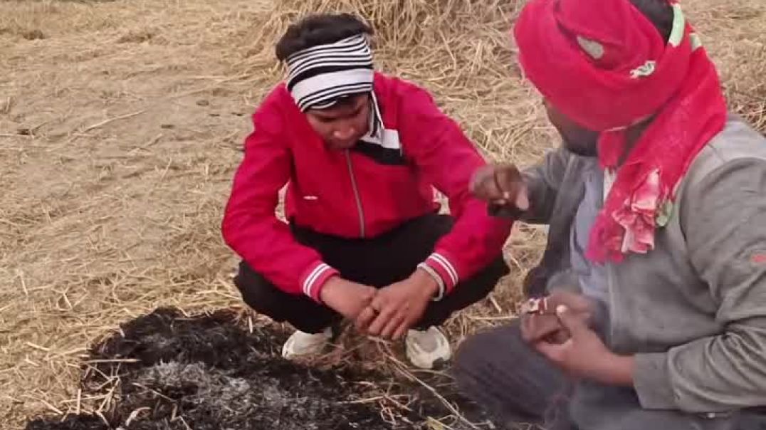 Instagram_1766391341526_mp4_360P