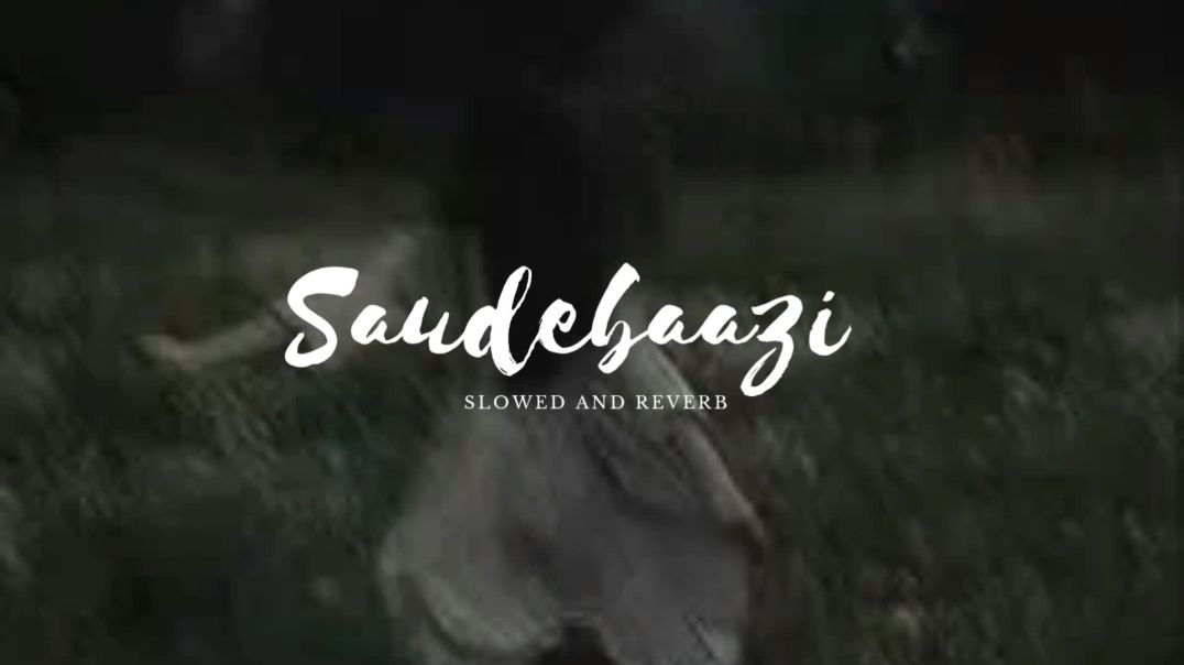 ⁣Saudebaazi_ (Slowed and Reverb) Lo-fi Song by Javed Ali, Shreya Ghoshal