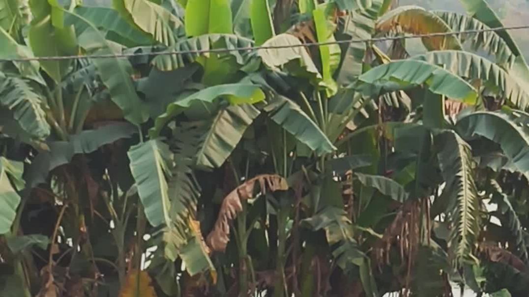 ⁣Vlogs Garha ice cream and the internet