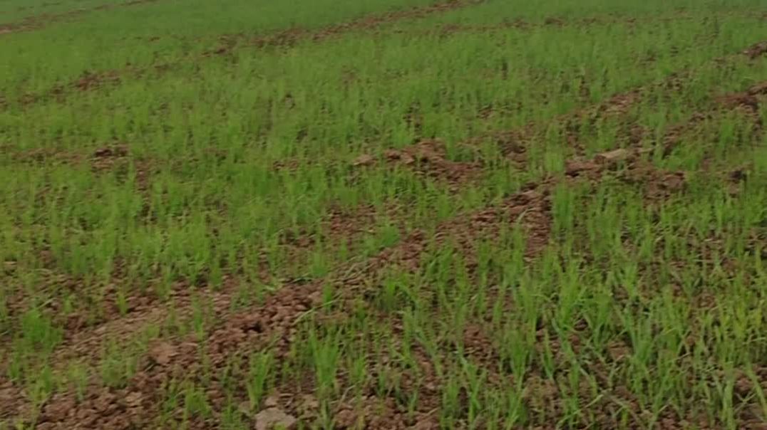 ⁣Nature beautiful scenery