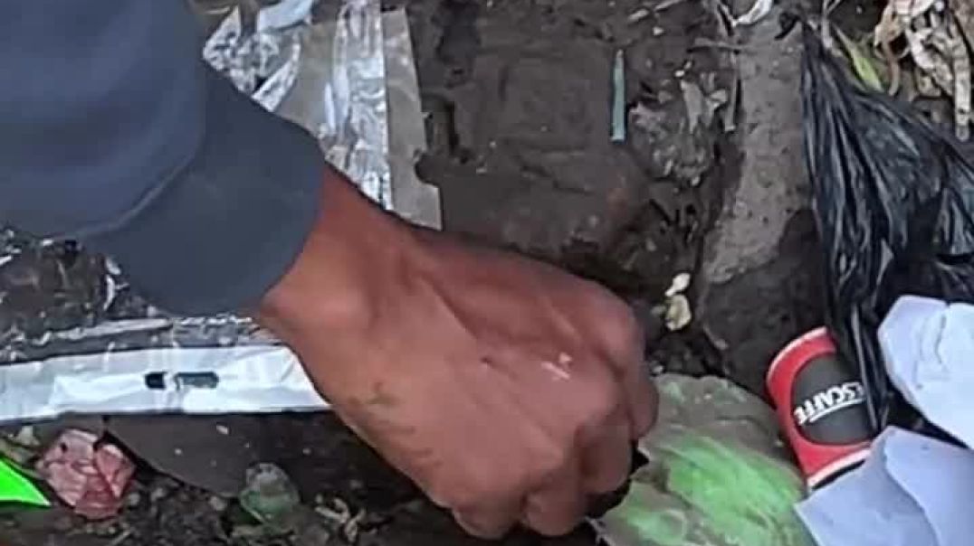 पहले_ज़मीन_पे_घिसा…_फिर_बोला_‘हैप्पी_बर्थडे_भाई!’🤣🍭🔥_